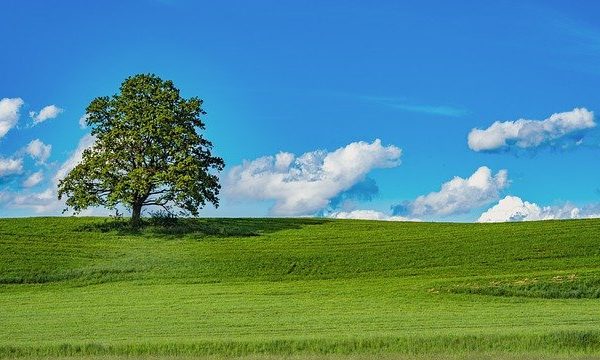 当協会の米澤委員長が鳥取県CIO補佐官に任命されました